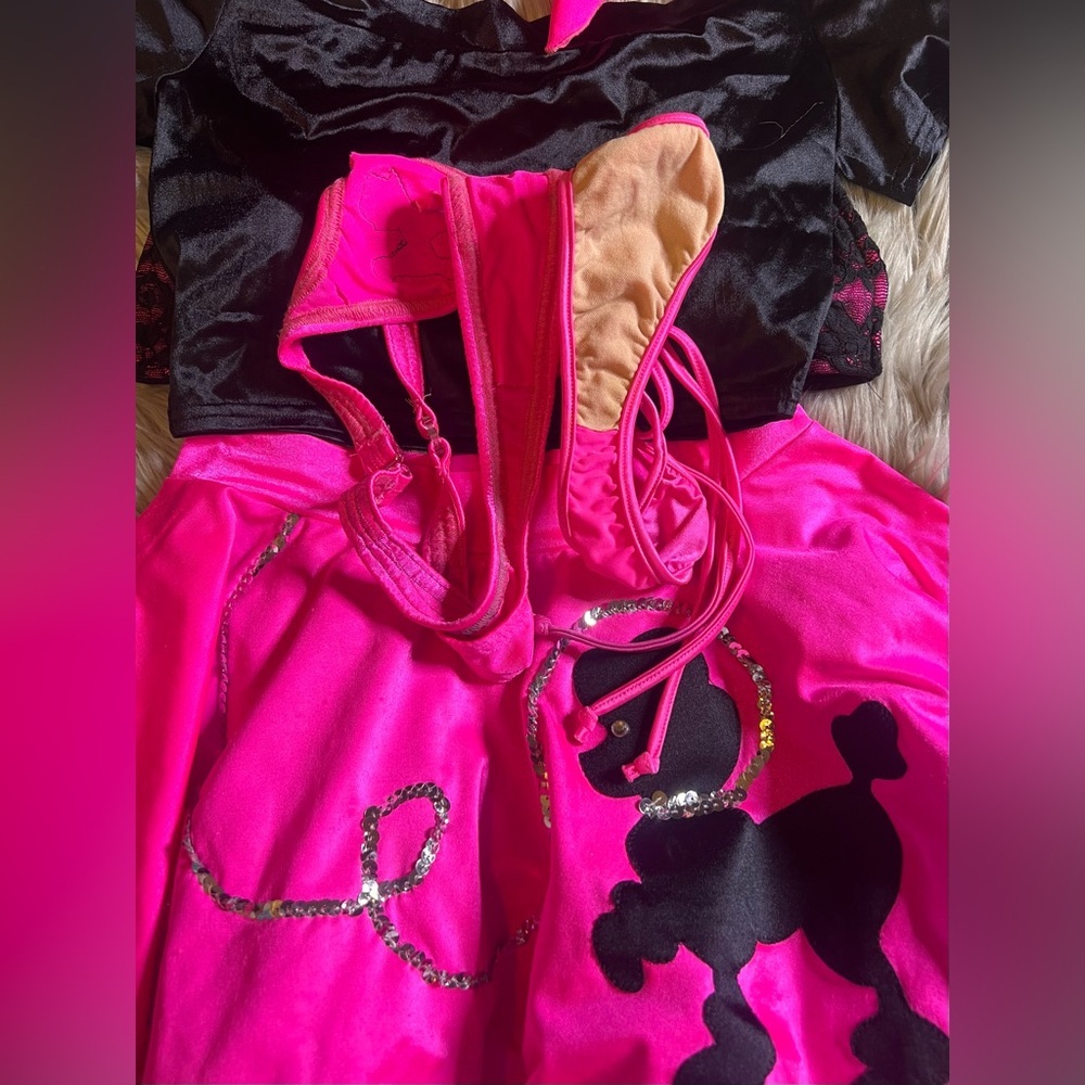 Custom made poodle skirt costume - Picture 5 of 9